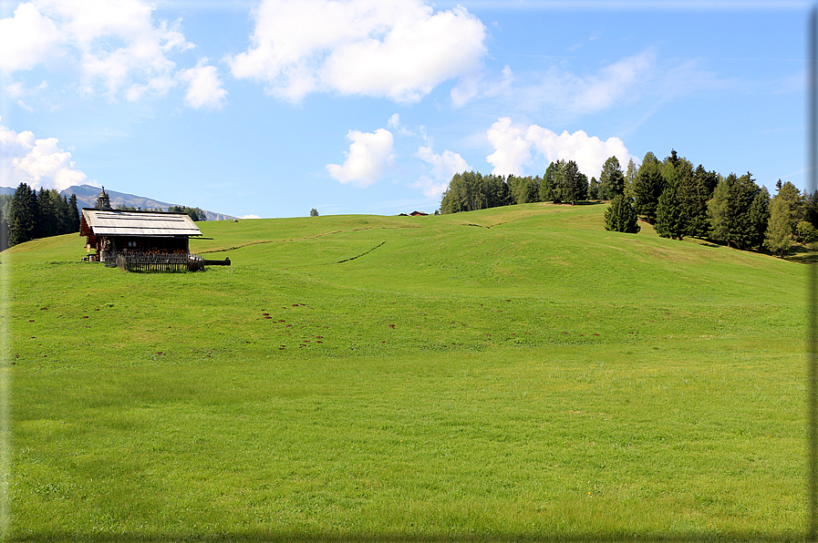 foto Alpe di Siusi